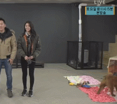 오늘자 마리텔에서 영혼털린 설현,민아.gif | 인스티즈