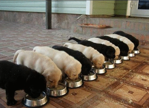 1시간동안먹는거살안찌기vs1시간자면8시간숙면 | 인스티즈