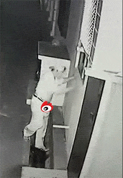 파이프 딸.gif | 인스티즈