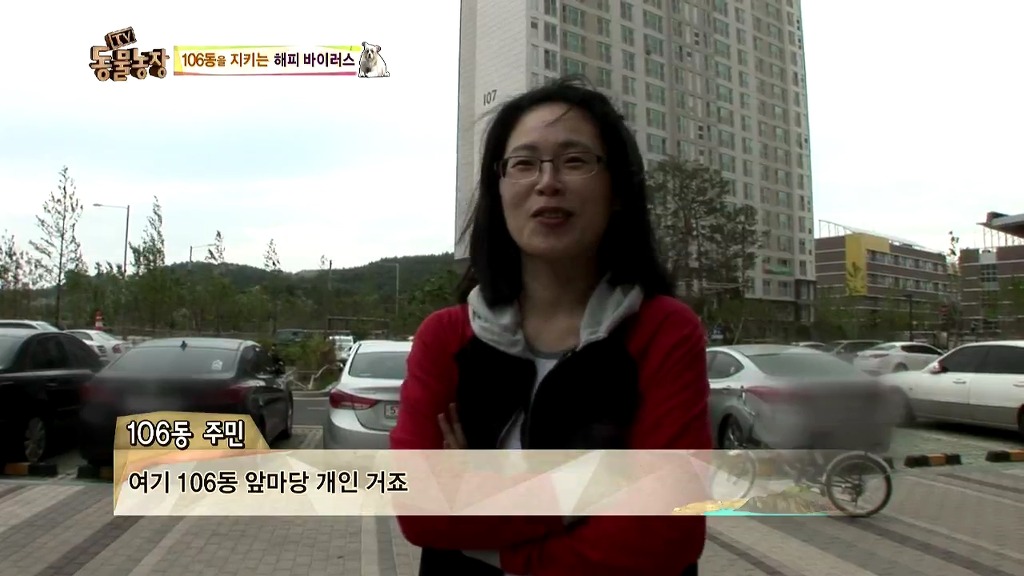 [동물농장] 106동 주민들이 키우는 강아지 | 인스티즈