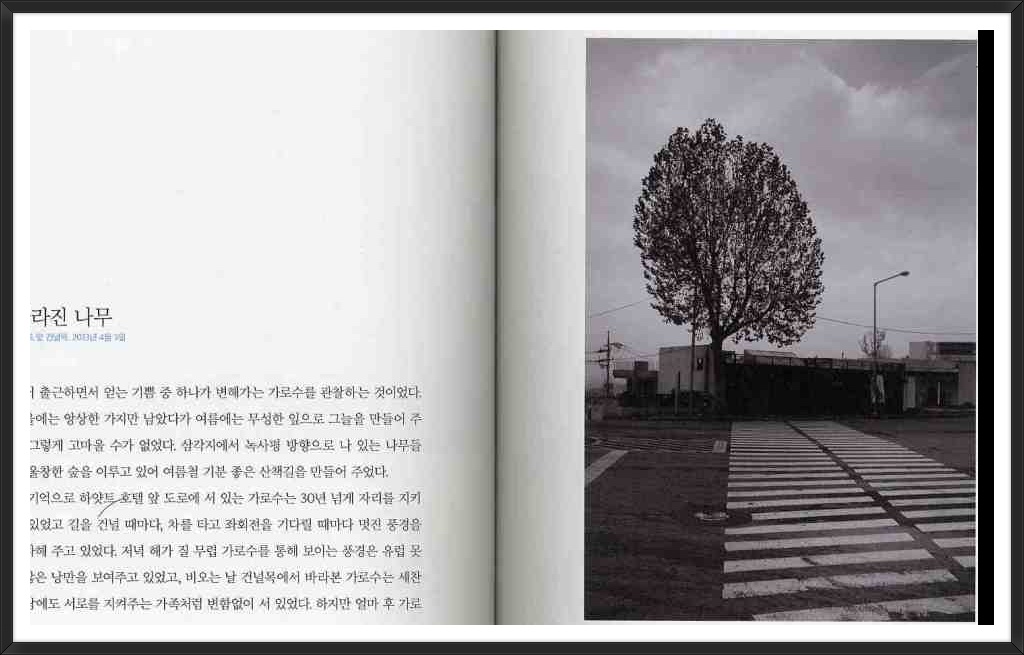 호박통신 이미지