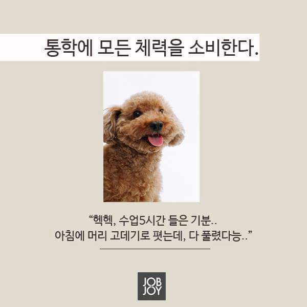 자취하는 사람이 제일 부럽다 | 인스티즈