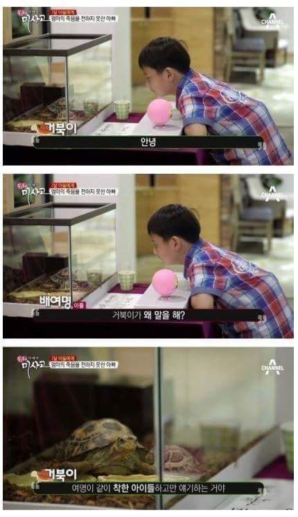 엄마의 죽음을 받아들이는 아이 | 인스티즈