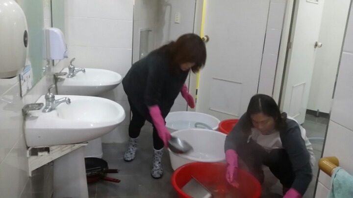 샛별초등학교 이미지