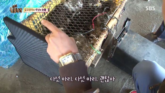 눈앞에서 제 아이가 맞아죽었습니다. 도와주세요 | 인스티즈