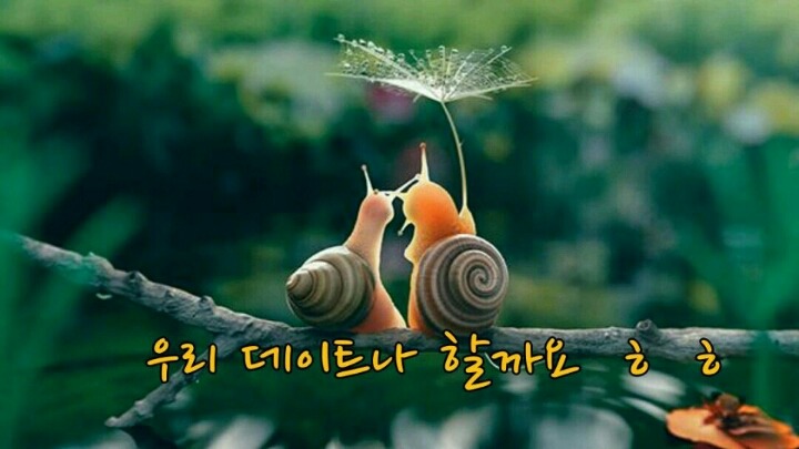 마니또와 이미지