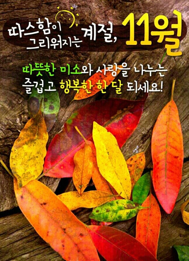 １１월 이미지
