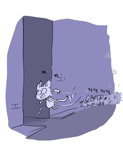 길을 잘못 들어간 고양이 | 인스티즈
