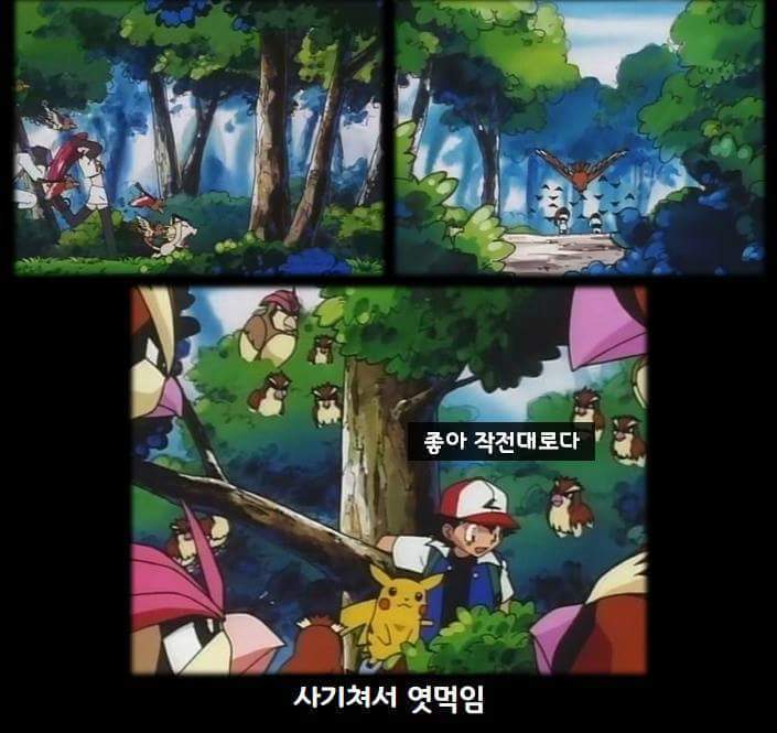 [포켓몬스터] 지우 인성 폐급 | 인스티즈