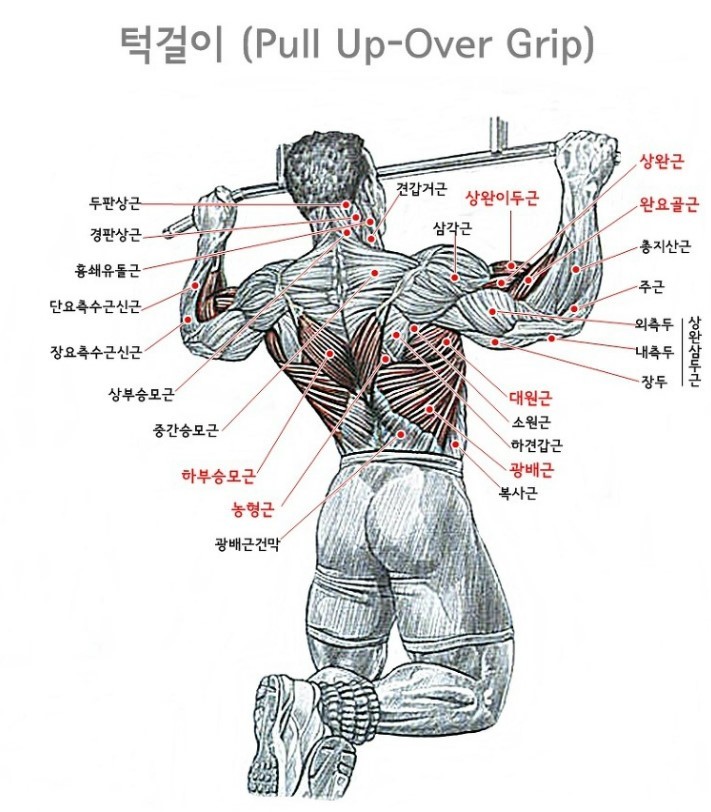 턱걸이 좀 하는 사람들 .jpg | 인스티즈