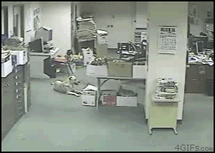 이민 가고 싶은 나라는? | 인스티즈