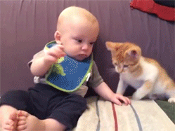 아기와 고양이.gif | 인스티즈