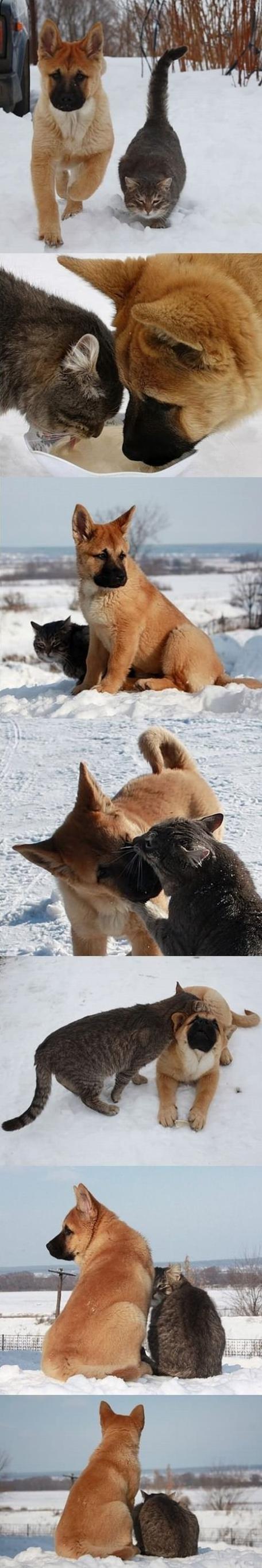 우리 친구 아이가.. | 인스티즈