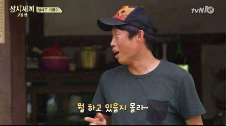 강아지가 안 보일때 꿀팁 | 인스티즈