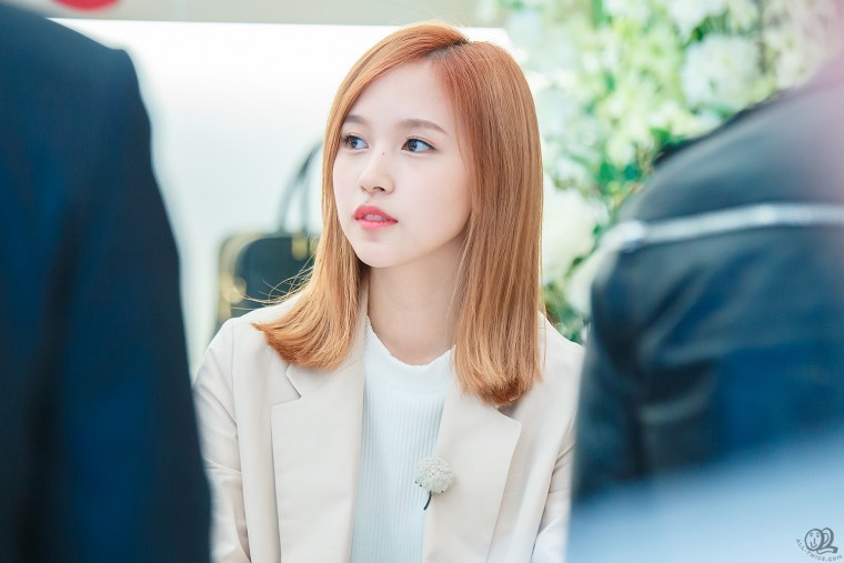 트와이스 펭귄이 되고 싶은 녀자 미나 (ㅋㅋㅋㅋ) | 인스티즈
