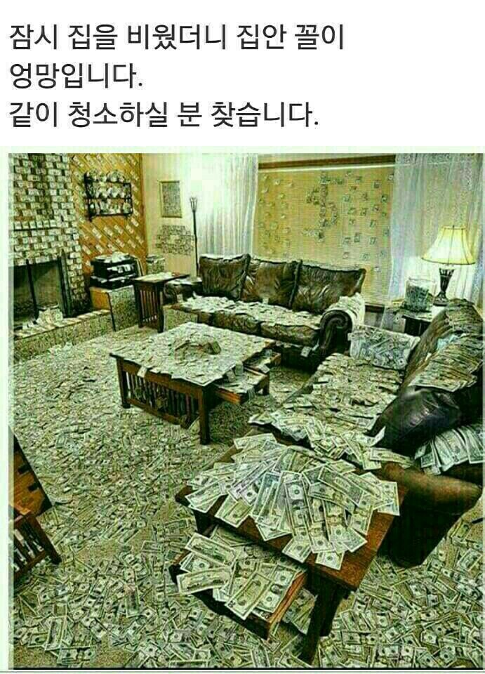 달아유 이미지