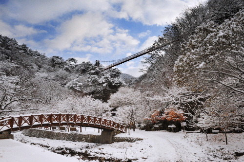 (주)선진관광여행사 이미지
