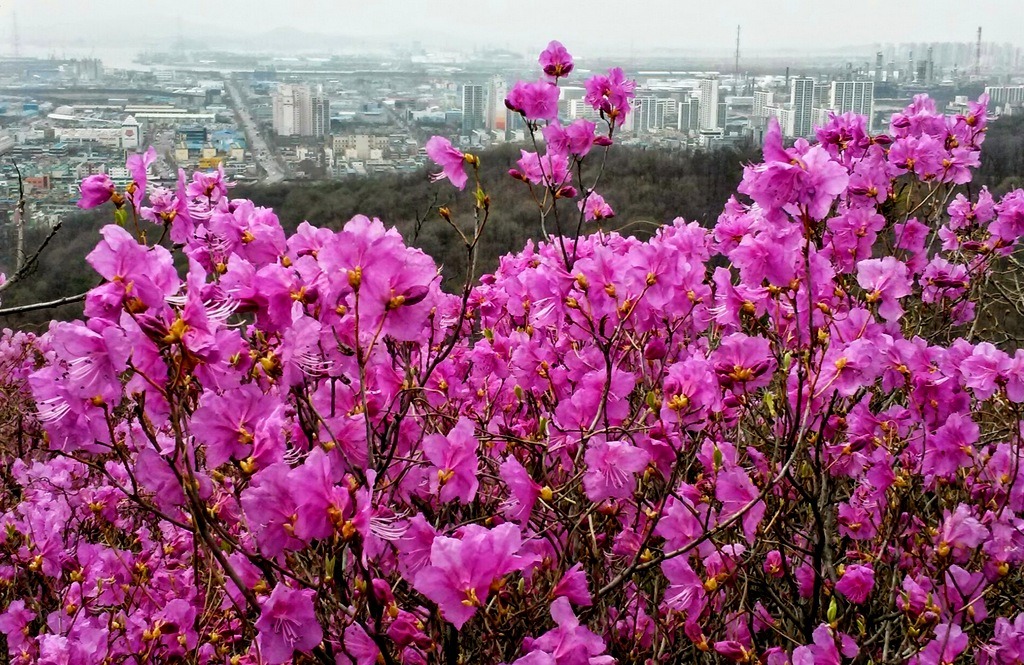 함봉산 이미지