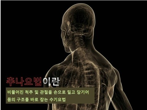 추나요법 효과 ㄷㄷㄷㄷㄷ | 인스티즈
