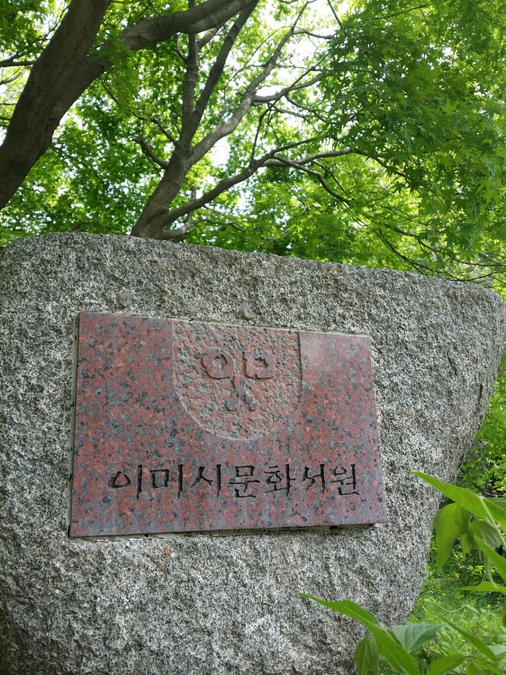 춘초몽 이미지