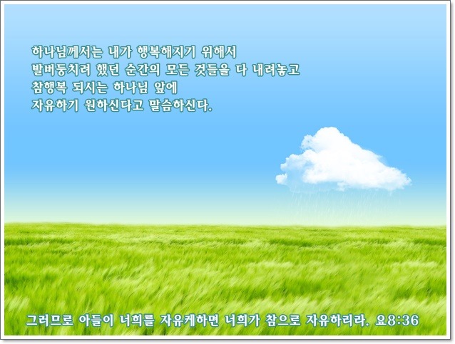 새티스 이미지