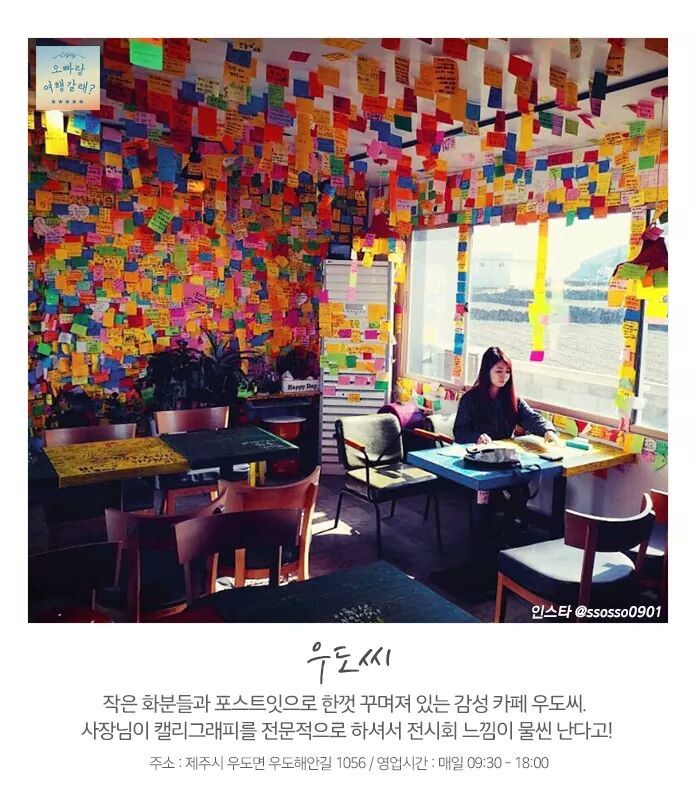 꼭 가봐야 할 우도 카페7 | 인스티즈