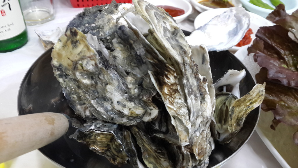 사계절식당 이미지