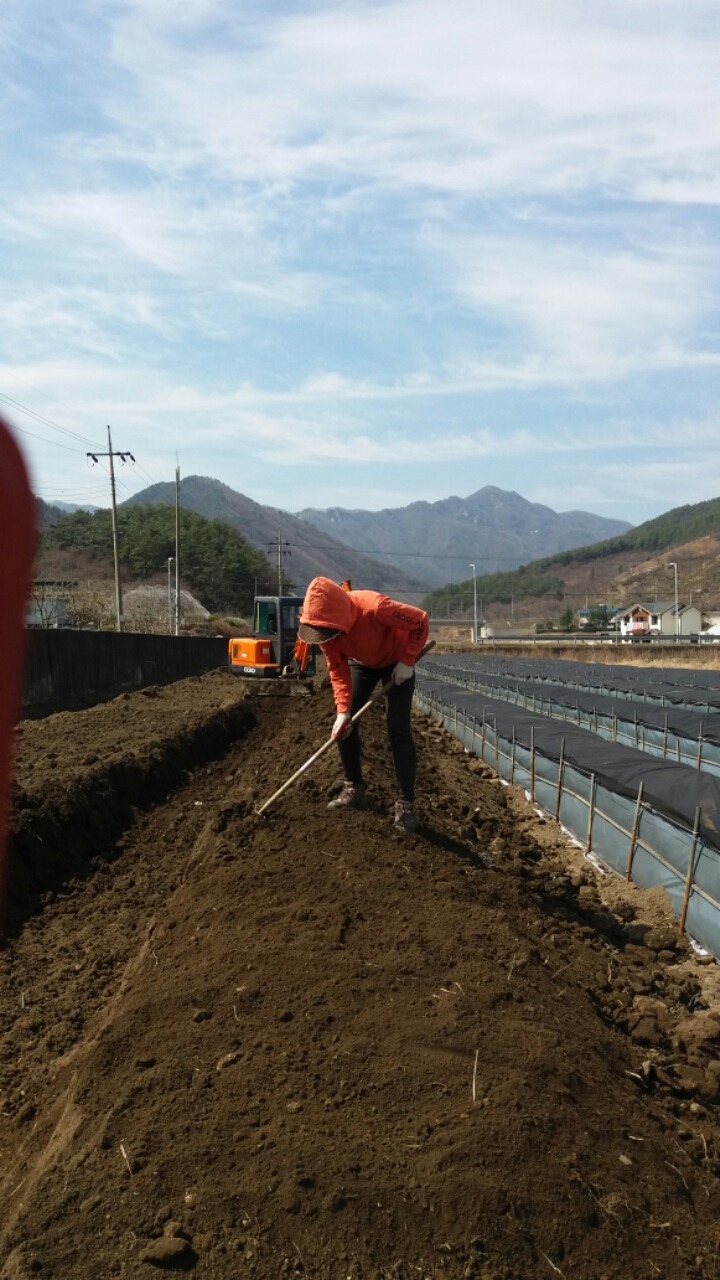 (주)농업회사법인 귀농 이미지