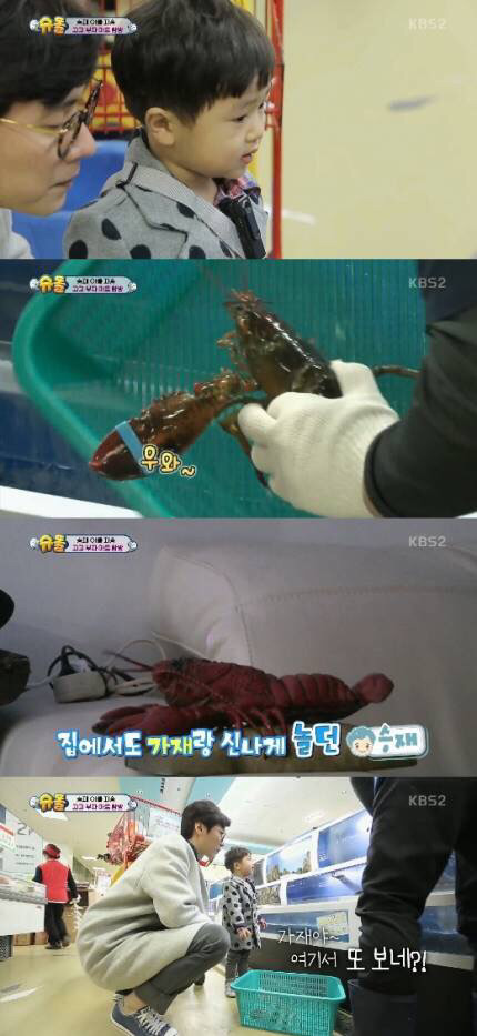 고지용 아들 승재가 갖고 놀던 가재 인형의 진실.twt | 인스티즈