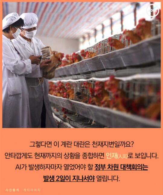 계란 하나도 마음놓고 못사먹는 나라 | 인스티즈
