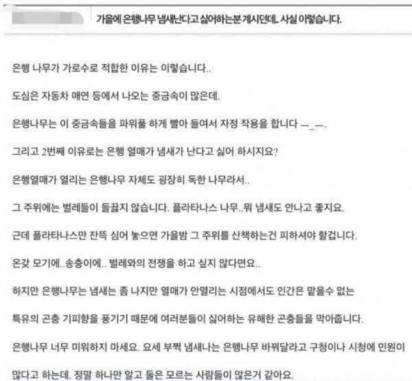 은행나무의 진실 | 인스티즈