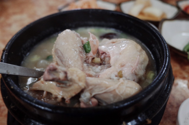 제주도 나홀로 여행객들을 위한 밥집(해장국 위주) | 인스티즈