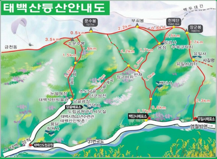 세원고속관광 이미지