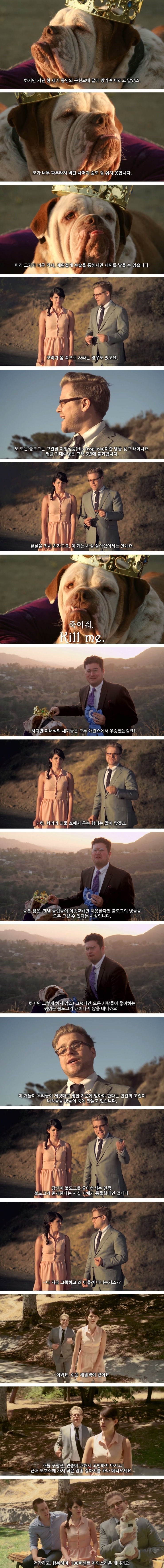 멍멍이 품종에 대한 진실 | 인스티즈