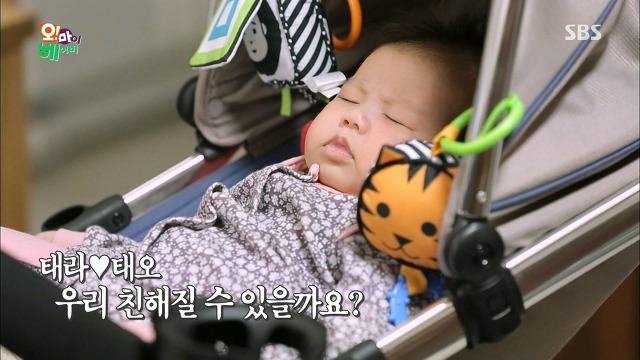 [오마이베이비] 언니가 여동생을 대할 때 VS 오빠가 여동생을 대할 때 | 인스티즈