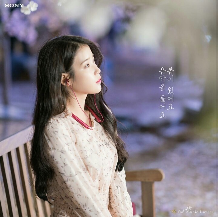 소니 인스타 아이유 사진 | 인스티즈