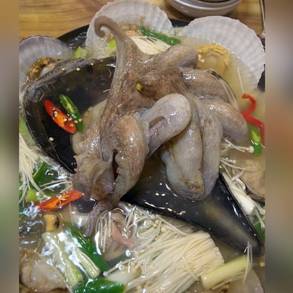 방가대게 이미지