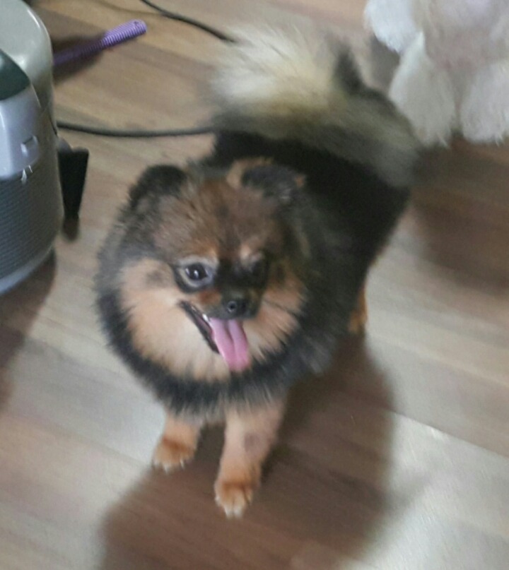 야야 이미지