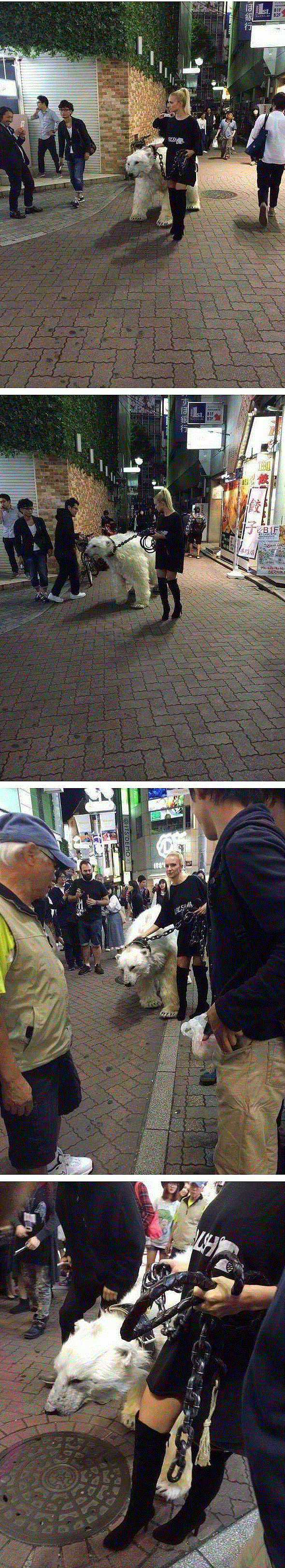 우리집 애는 안 물어요.jpg | 인스티즈