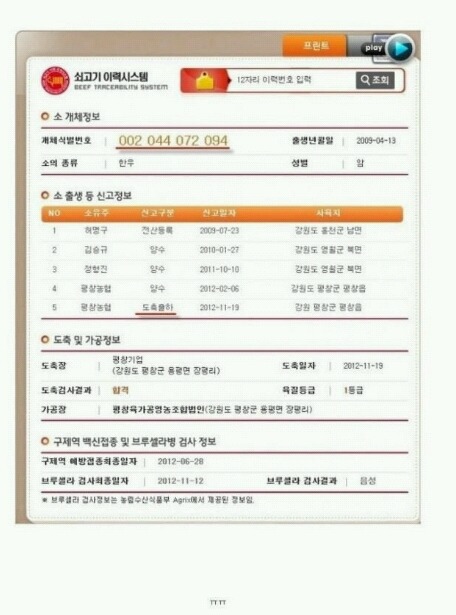 구하라 핥은 소 | 인스티즈