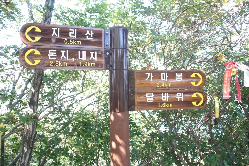 하도가을이네 이미지