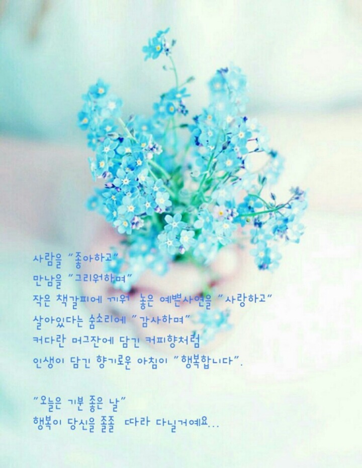 화원자연휴양림 이미지