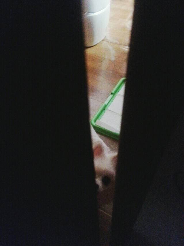 자는데 누가 자꾸 쳐다보는 느낌이 들어서....(약간 소름 주의) | 인스티즈