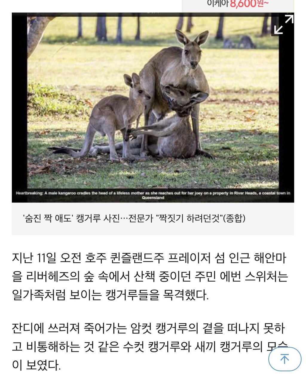 전문가는 너무해 ㅜㅛㅜ | 인스티즈