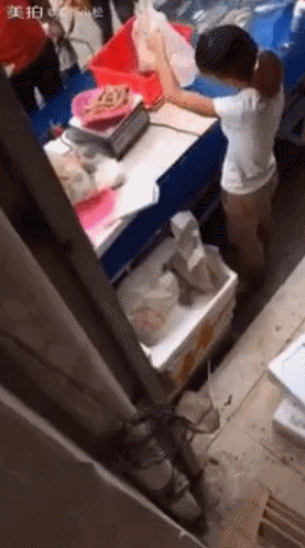 대륙의 사기.gif | 인스티즈