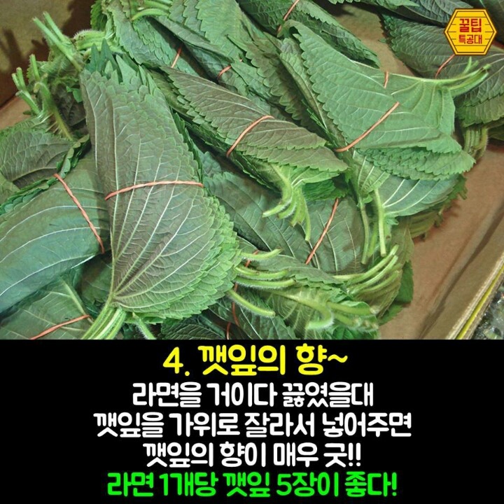 출출할때 먹기좋은 라면끓이기 꿀팁 | 인스티즈