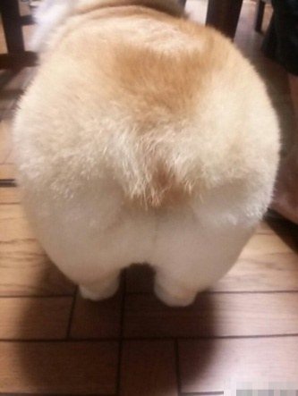 그동안 엄선해서 저장해온 지구뿌셔짤(1).jpggif (데이터주의) | 인스티즈