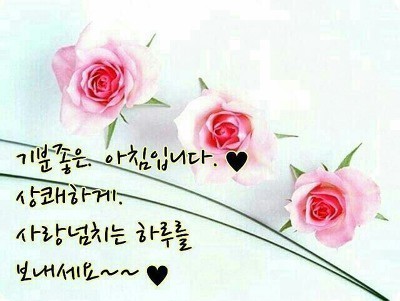 더어 이미지