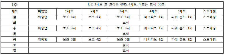 턱걸이 초보도 50개 올리는 프로그램 | 인스티즈