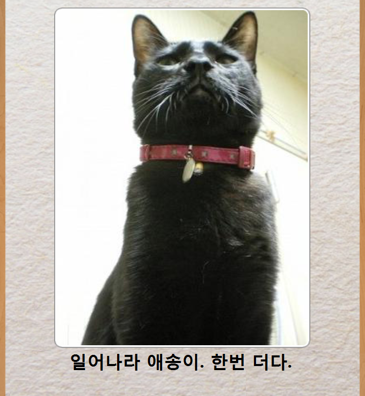 믿고보는 제목학원 | 인스티즈